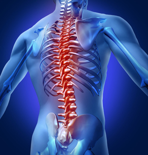 Wirbelsäule Rückenschmerzen