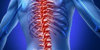 Wirbelsäule- / Rücken Schmerzen